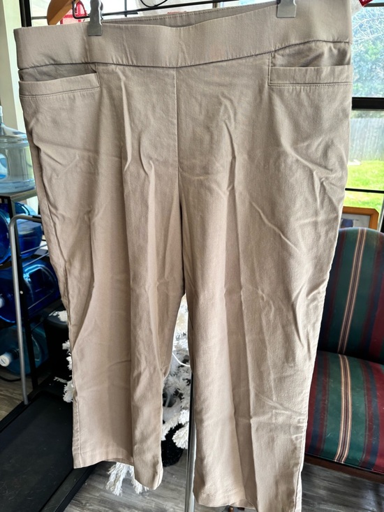 Pants - Briggs Beige Casual Cropped Pants- Size 16 GUC
